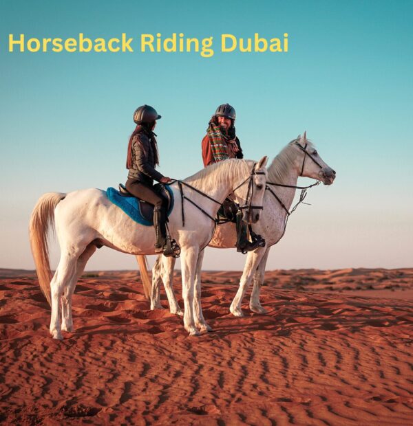 Horseback Riding Dubai: Discover a Unique Desert Adventure